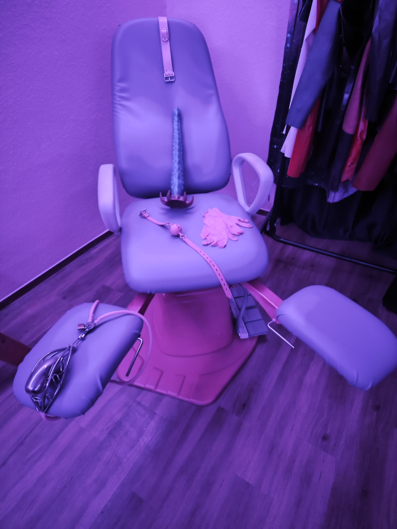 WhatsApp Image 2026-01-30 at 20.15.05b